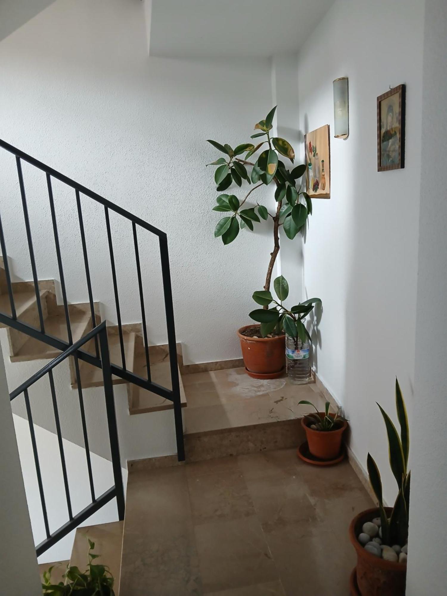 Corazon De Jaen Apartment Room photo